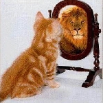  :ѧо:ȹעòӰ콡
 ߣѯ
 :2008-12-15 22:22:08
 :1147